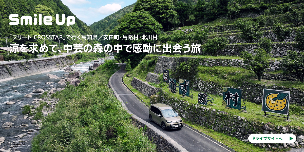 涼を求めて、中芸の森の中で感動に出会う旅