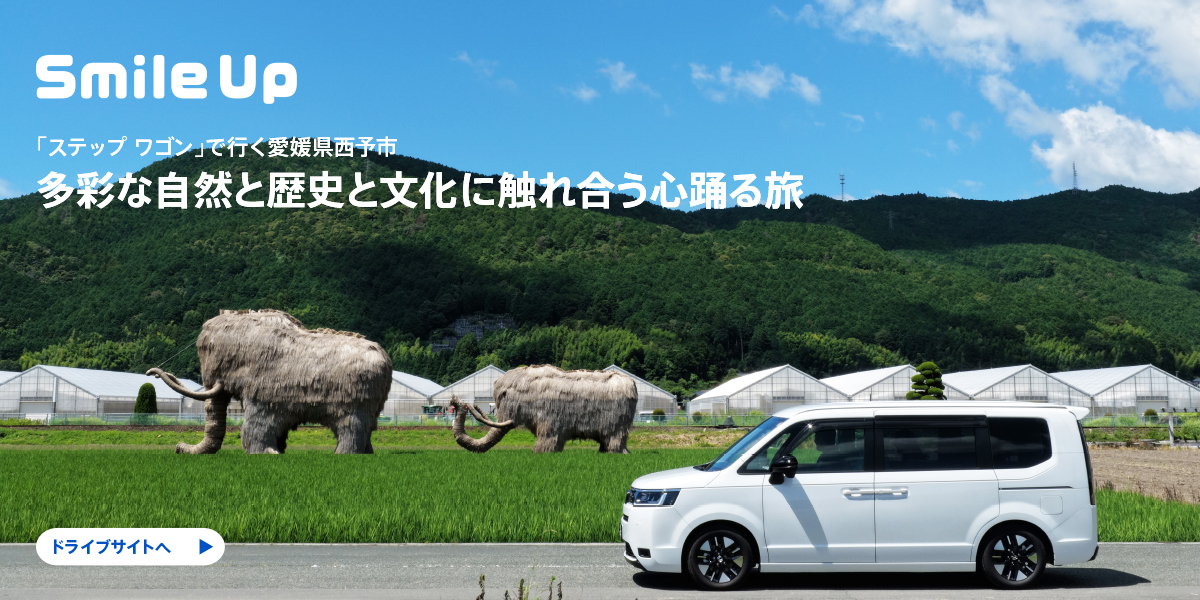 多彩な自然と歴史と文化に触れ合う心踊る旅